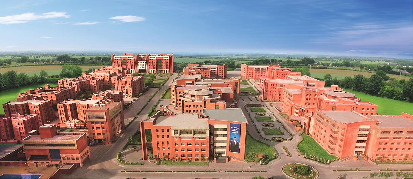 Amity Online campus